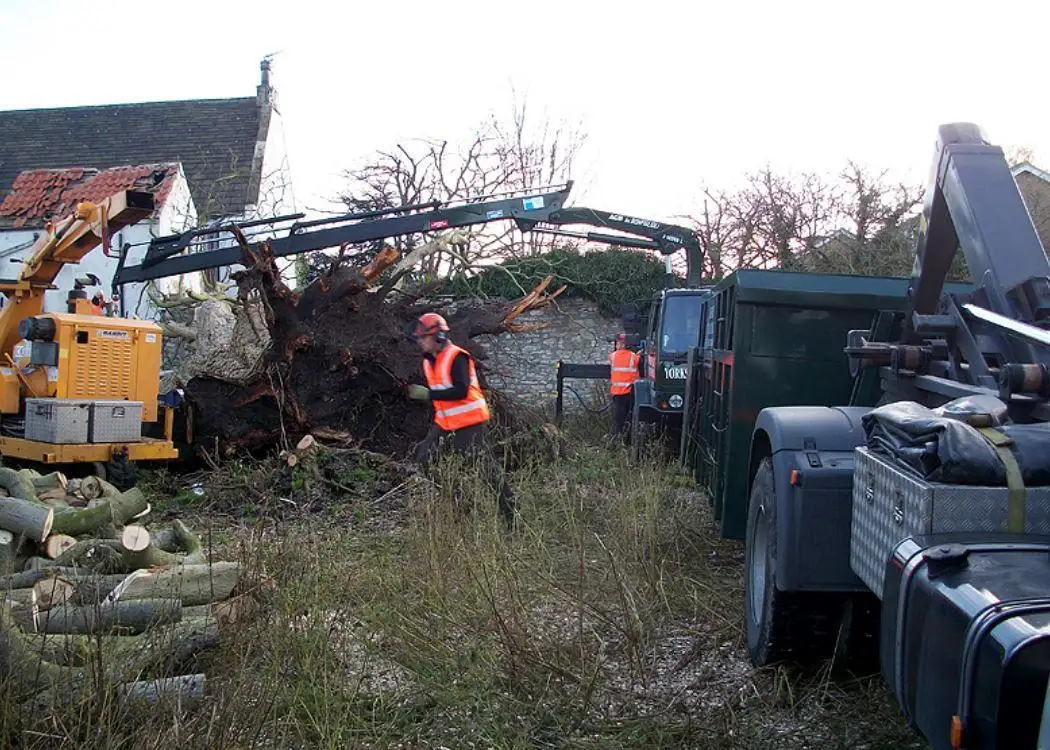 Images Yorkshire Tree Contractors