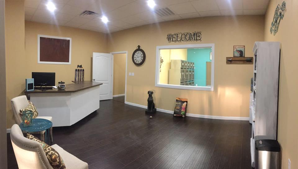 Best Dog Groomer Arlington Tx Best Dog Groomer Arlington Tx