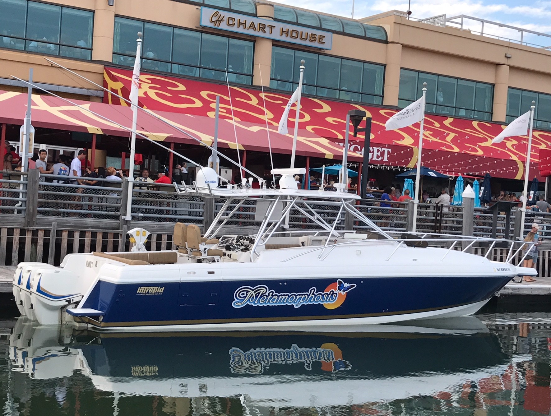 Metamorphosis Boat Charters