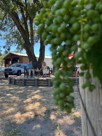 Images Sonoma Wine Rides