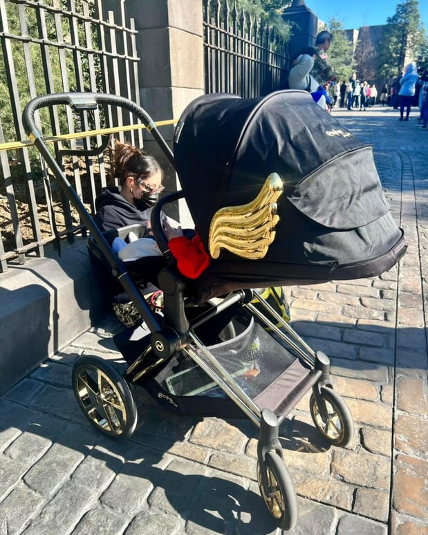 Images The GreenStroller