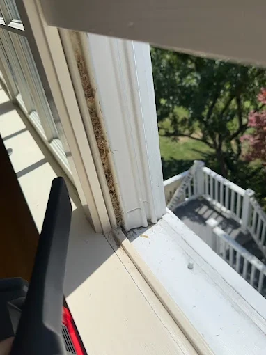 Images Supreme Window Clean