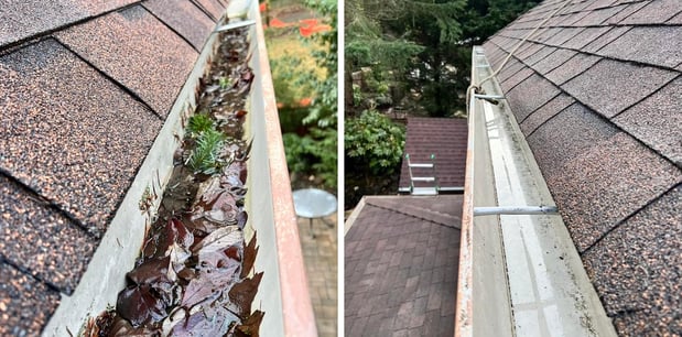 Images Portlandscaping