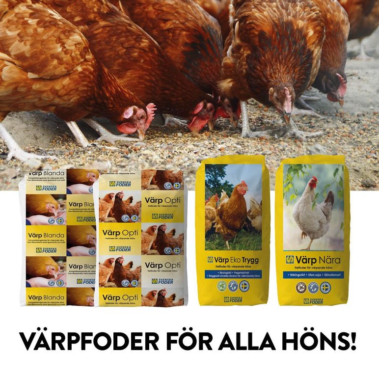 Images StallMagasinet AB