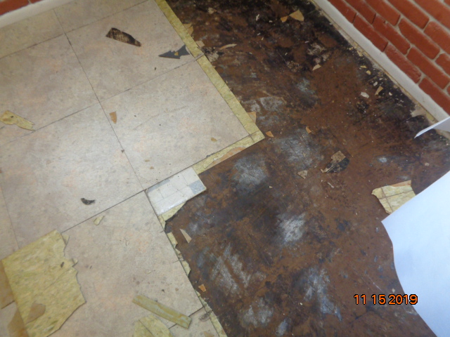 When moisture seeps under your  flooring and does not dry properly, it can become mold. We can remediate this type of mold properly