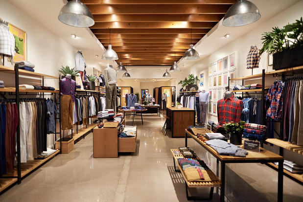 Images Bonobos