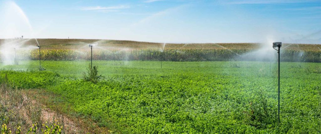Large-scale commercial irrigation system spraying water across an expansive green field under a clear blue sky.