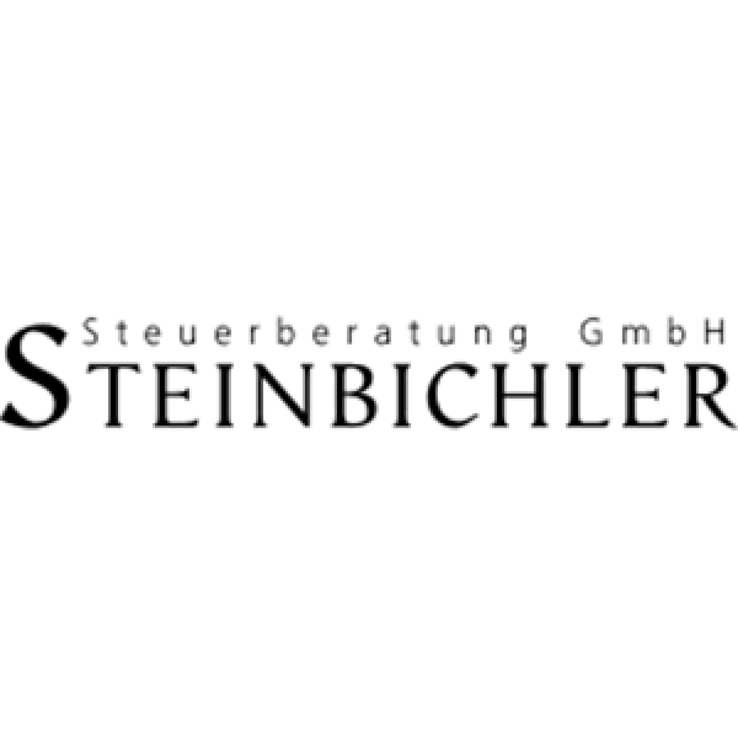 Steinbichler Steuerberatung GmbH
 - LOGO
