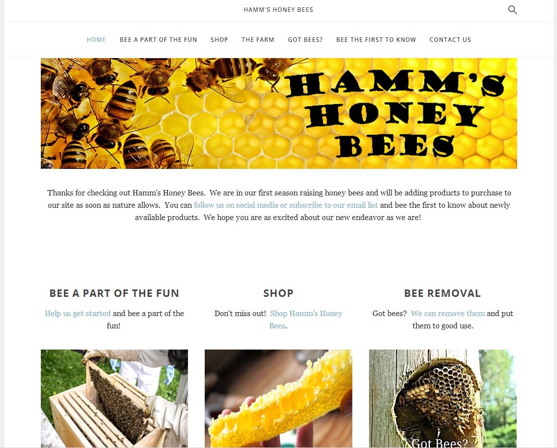 Matt from Hamm’s Honey Bees, was in the process of starting his own apiary.  He wanted a website that would promote his honey bee related products and grow along with his business.

Capabilities of his site:
-E-commerce capabilities
-Fits with his brand
-Mobile Device Friendly