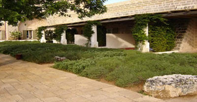 Images Vivai Giuranna