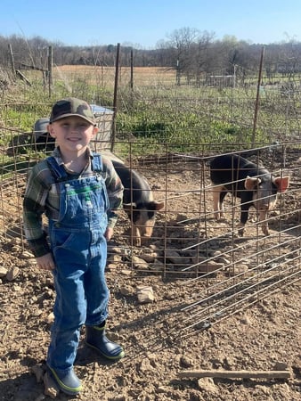 Images Emily's Livestock family raised beef, pork, lamb and tallow skin care