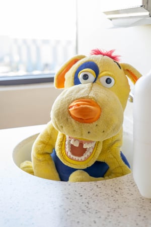 Images Kids Mile High Pediatric Dentistry - Central Park