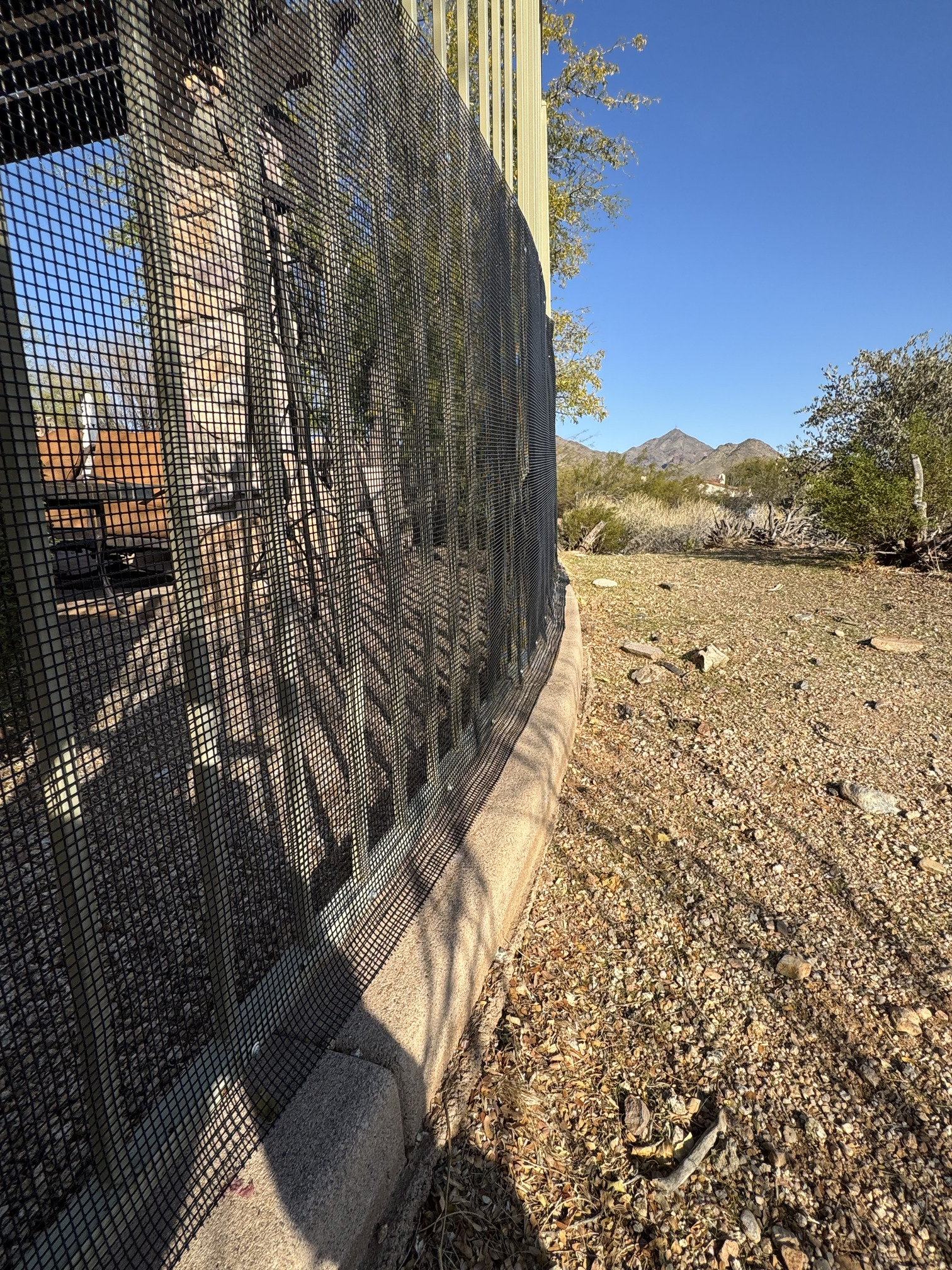 Darling Wildlife and Pest Control Services Image