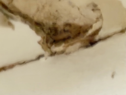 Images Sawyer Safety Consulting