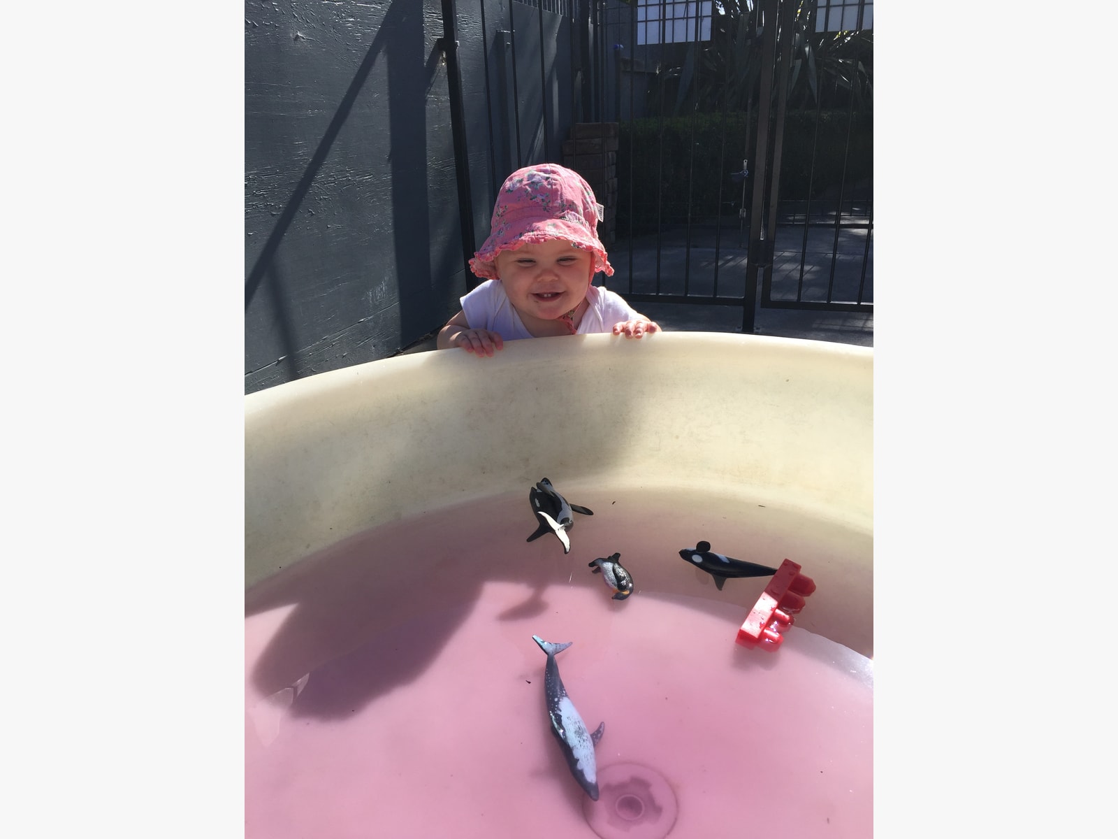 Gallery thumbnail
