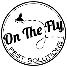 Images On The Fly Pest Solutions