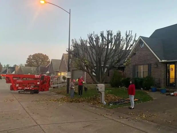 Images Allegiance Tree Service