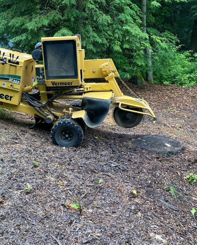 Images Precision Stump Grinding