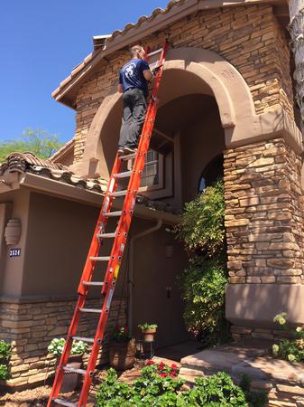 Images Pigeon Control Phoenix