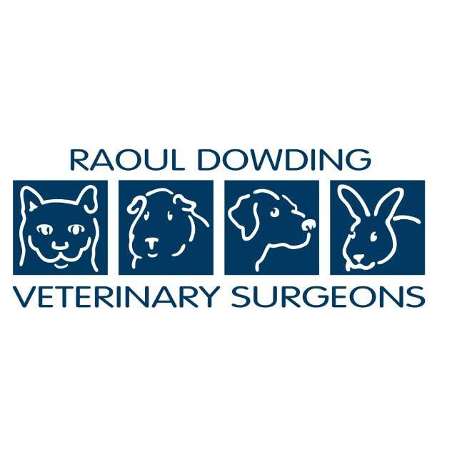 Raoul Dowding Vets, Bawtry Logo