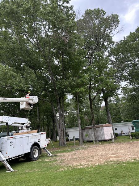 Bynog's Tree Services Image