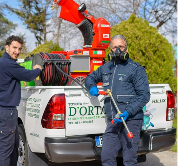 Images Derattizzazioni e Disinfestazioni D'Orta