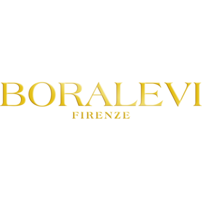 Boralevi Logo