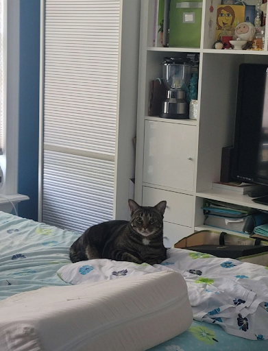 Images Lenny's Pet Care