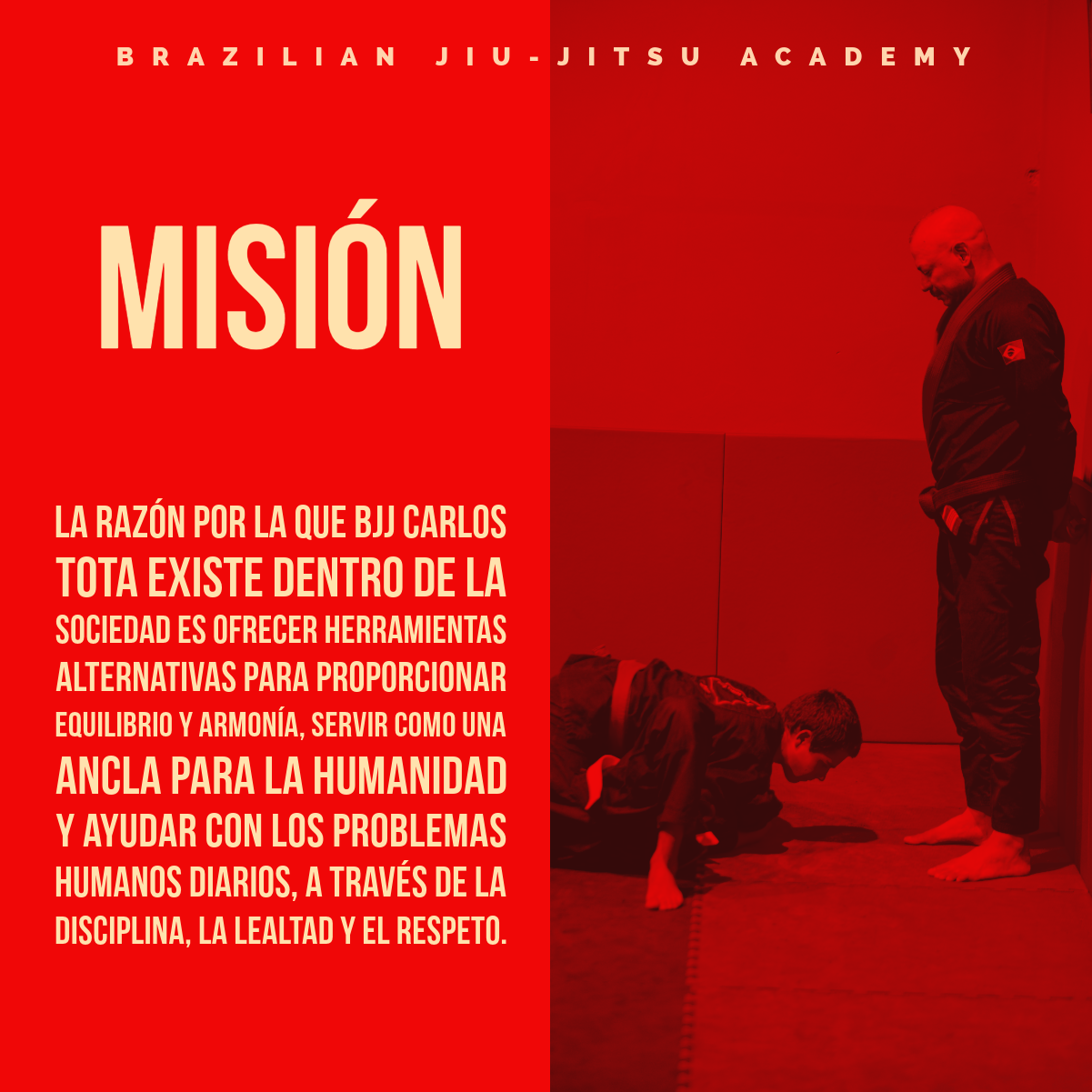 Images BRAZILIAN JIU-JITSU ACADEMY PROF CARLOS TOTA