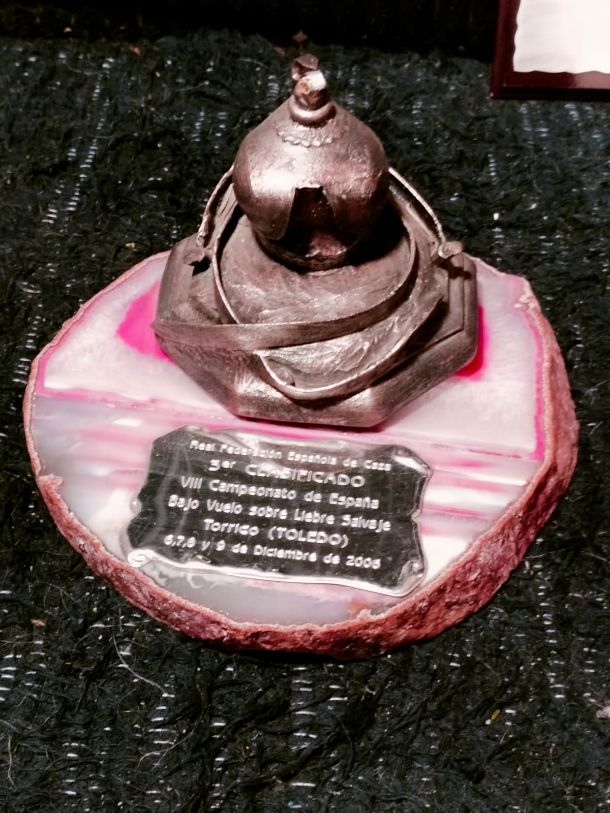 Images Bird Control Falcon S.L.