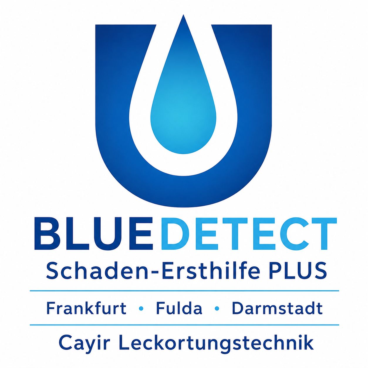 Bluedetect Frankfurt Cayir Leckortungstechnik  