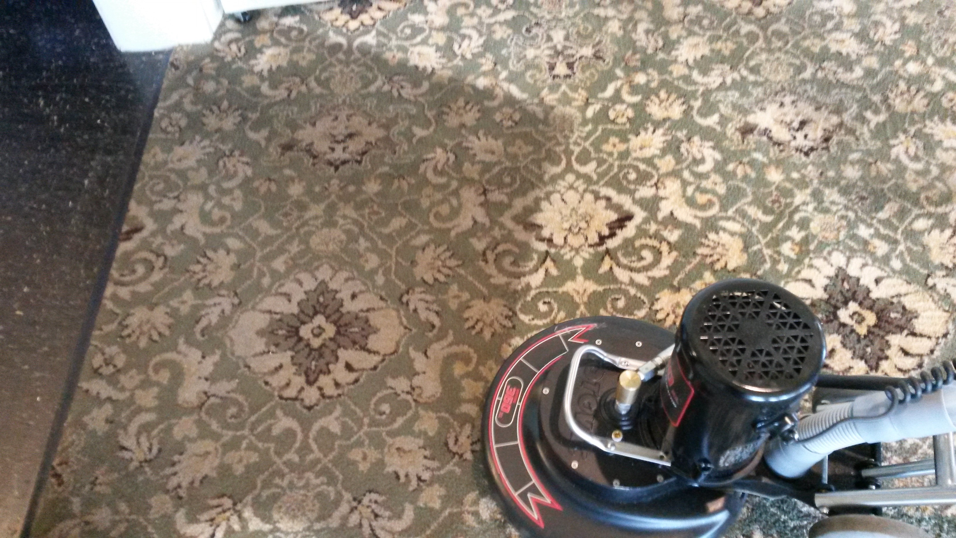 Images Santos Carpet Cleaning