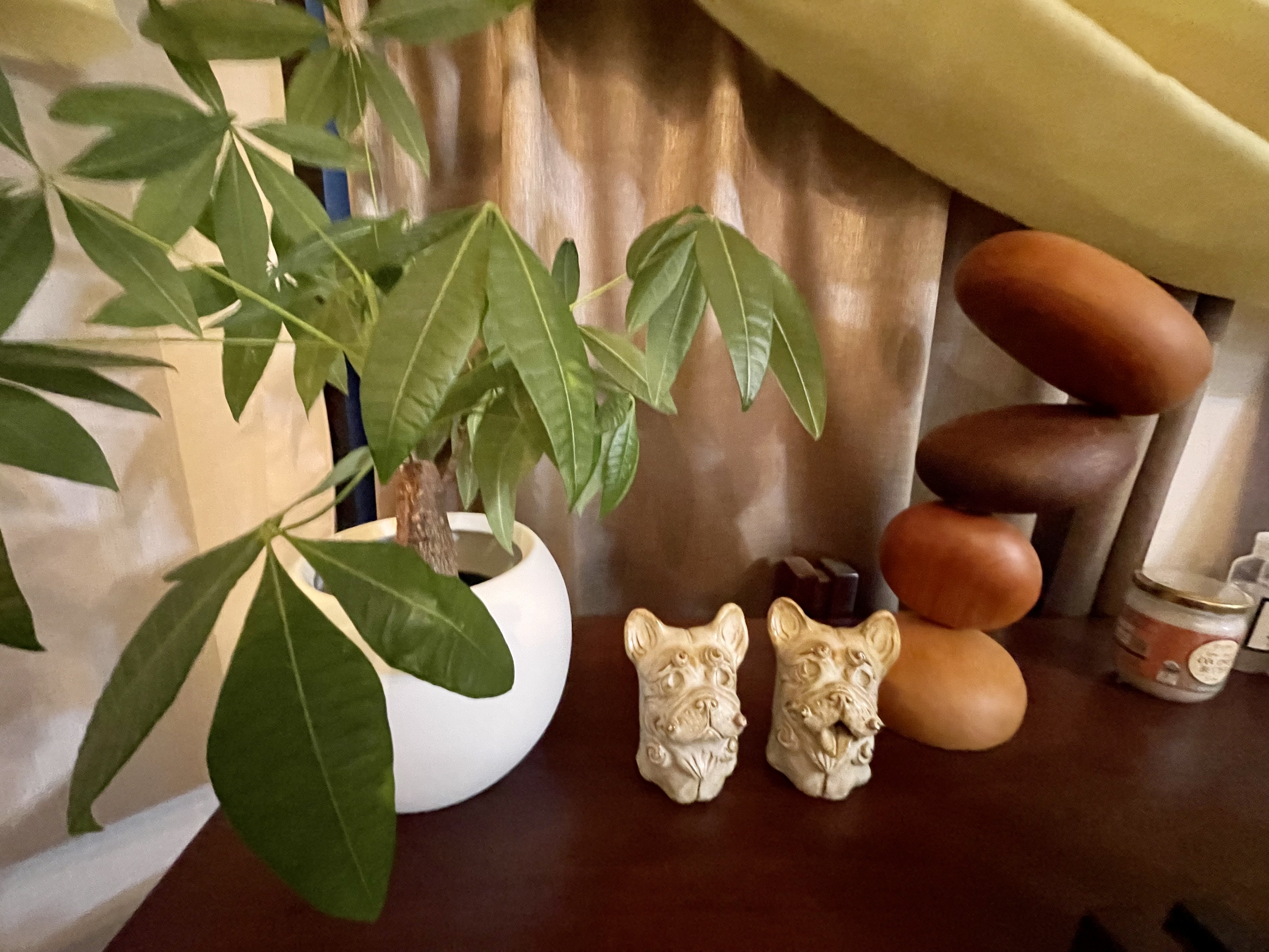 Images メディスキン ザ 銀座