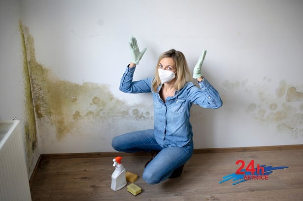 Images First Response Restoration, Water Damage Minneapolis Specialist