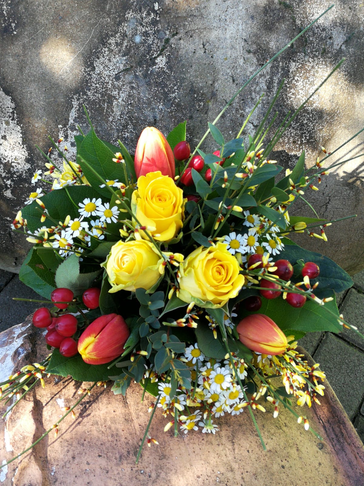 Kundenbild groß 11 Kitzinger Blumen und Pflanzen