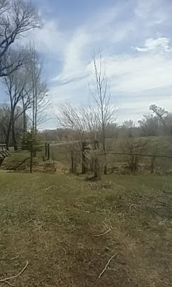 Mogote Meadow Cabins & RV Park Image