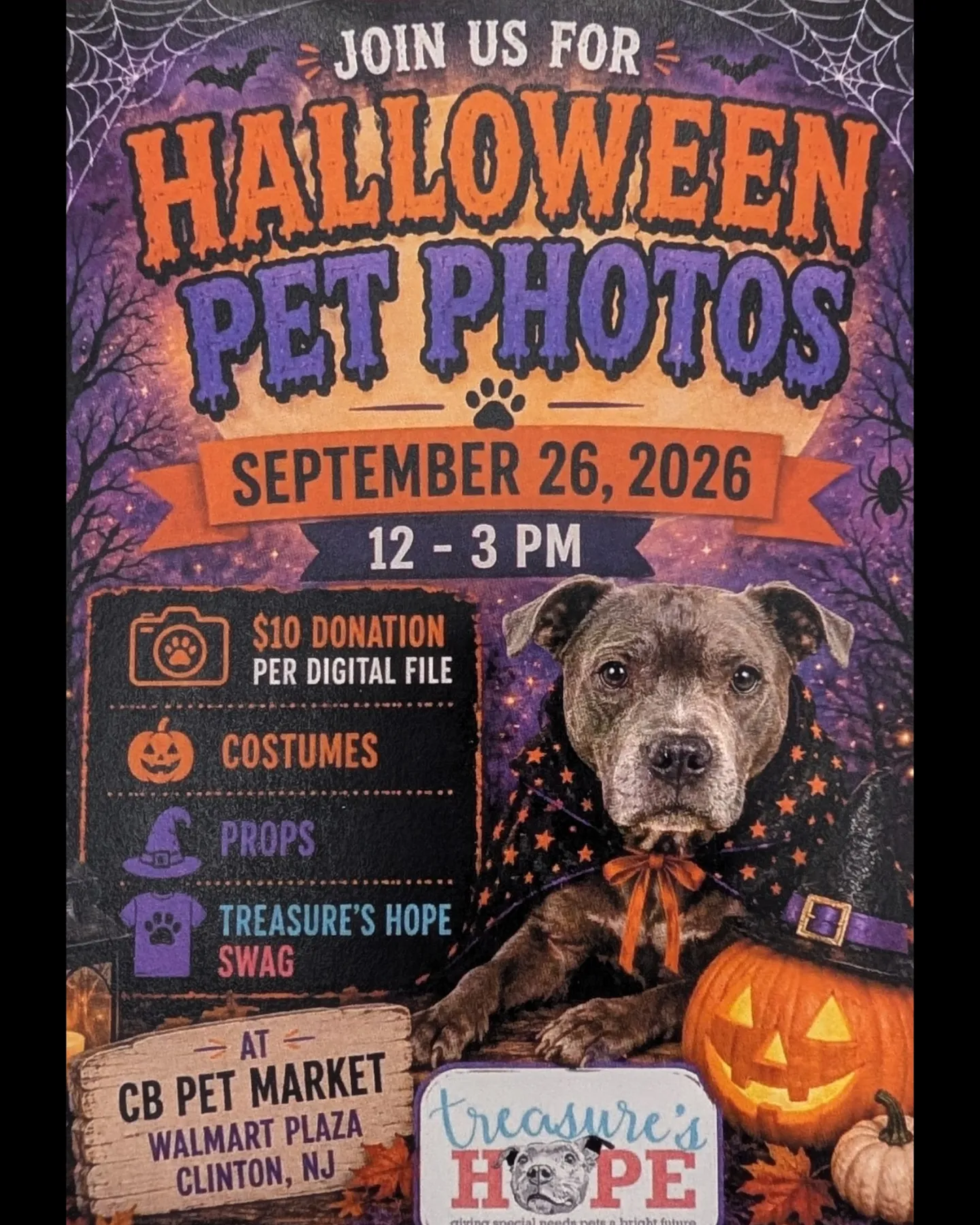 Image of Local Pet Event Halloween Pet Photos! Nearby