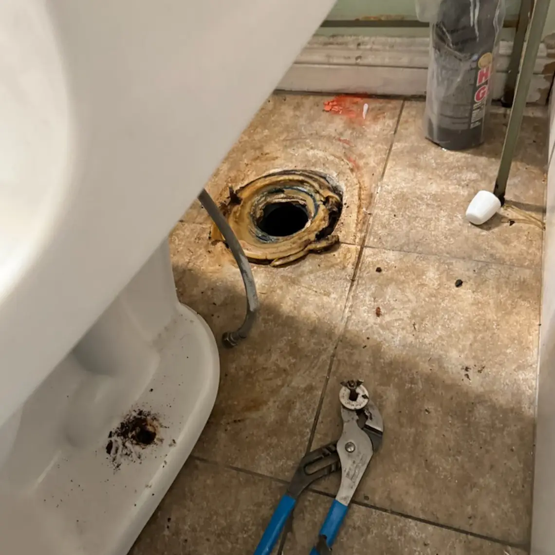 Chay Rooter Services Image