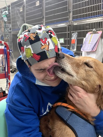 Images VCA SouthPaws Veterinary Specialists & Emergency Center
