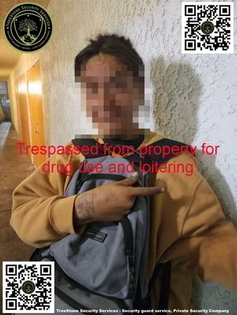Images TreeStone Security Services