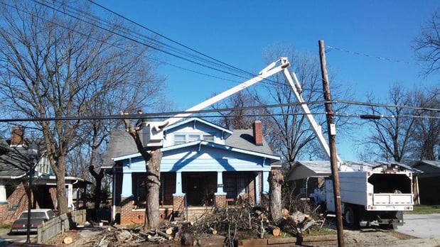 Images God's Way Tree Service