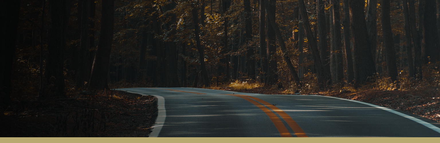 A country road in autumn weaving through a forest.