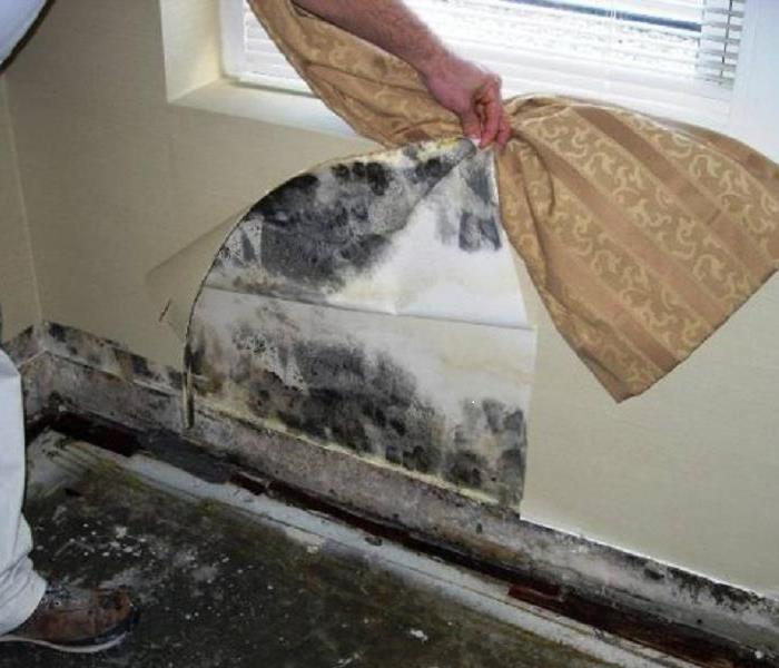 Mold under the wallpaper