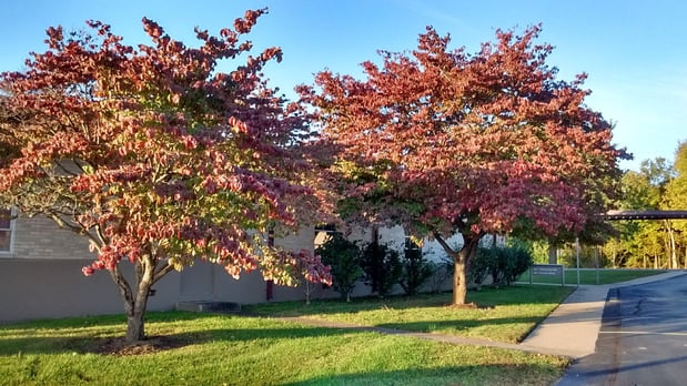 Images Covenant Presbyterian Church