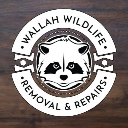 Wallah Wildlife LKN Logo