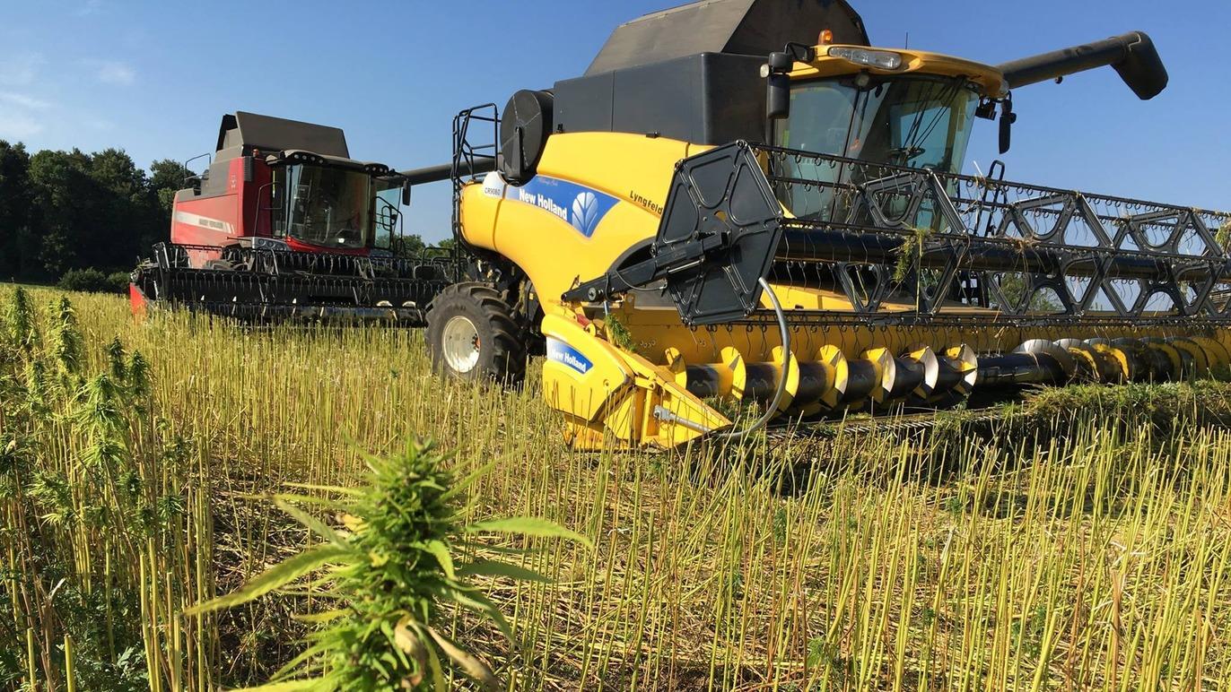 Images Lyngfeldt A/S