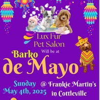 Lux Fur Pet Salon Image