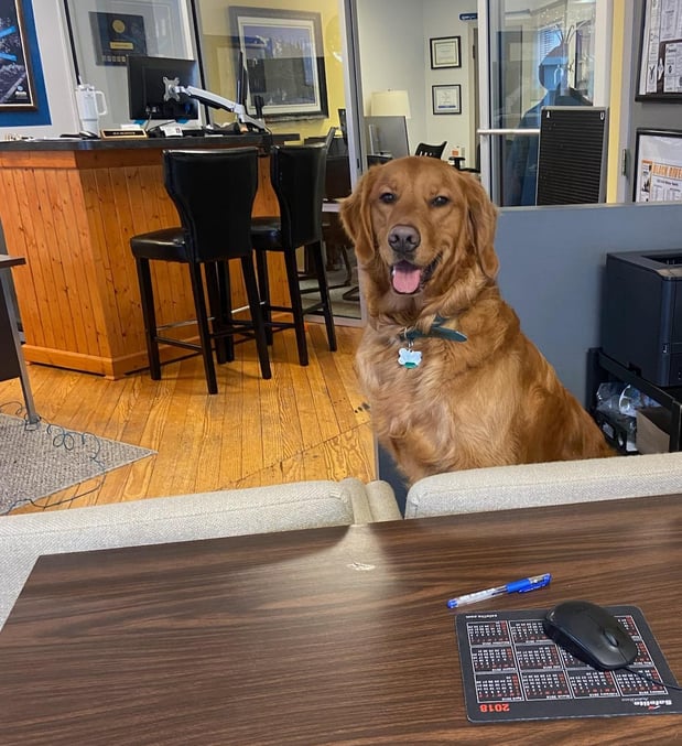 Images Daniel Gossman: Allstate Insurance