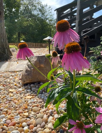 Images VanBeck Stocker's Landscaping and Lawn Care