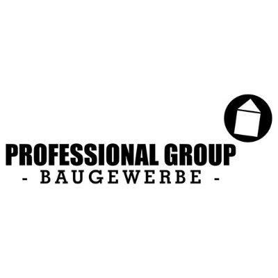 Logo Professional Group
